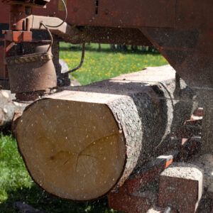 Wood cutting