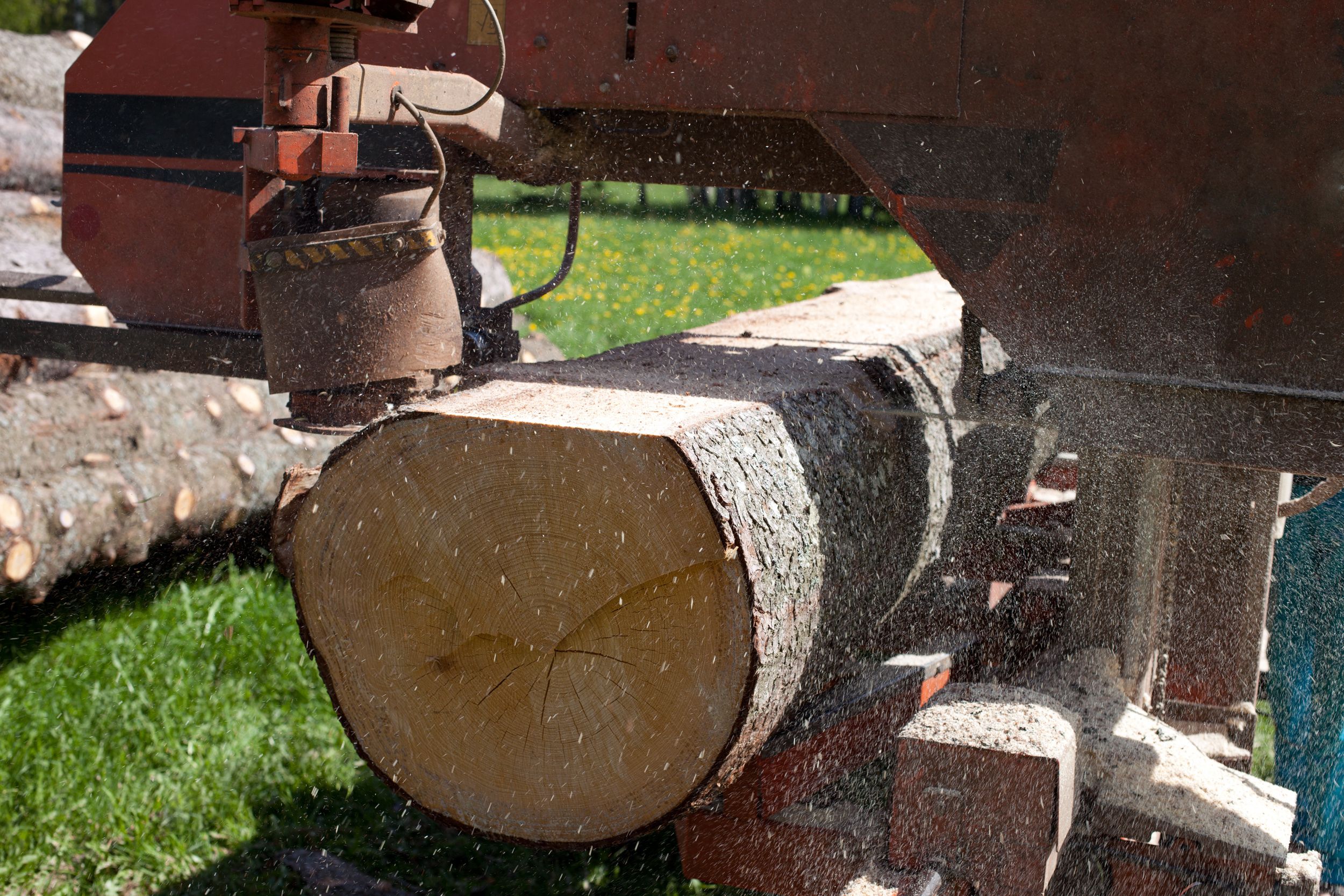 sawmill blades